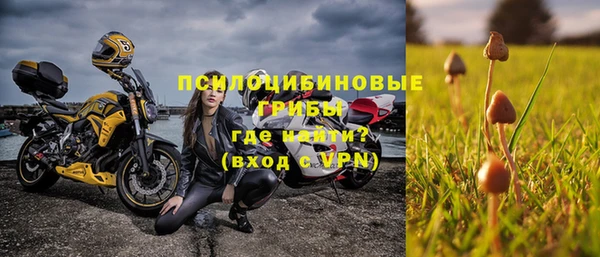 spice Беломорск