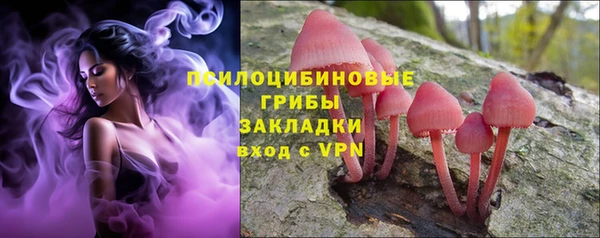 марки lsd Белокуриха