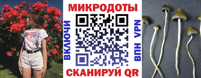 Галлюциногенные грибы мицелий  Верхняя Пышма 